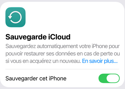Écran montrant l’utilisation des données par Sauvegarde iCloud