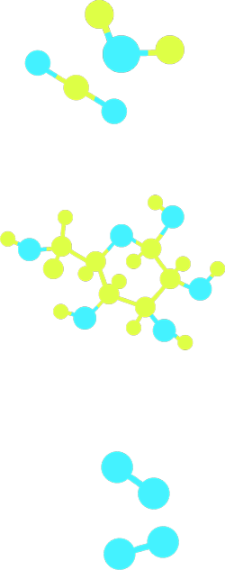  Cinco modelos moleculares: um do dióxido de carbono, um da água, um da glicose e dois do oxigênio.