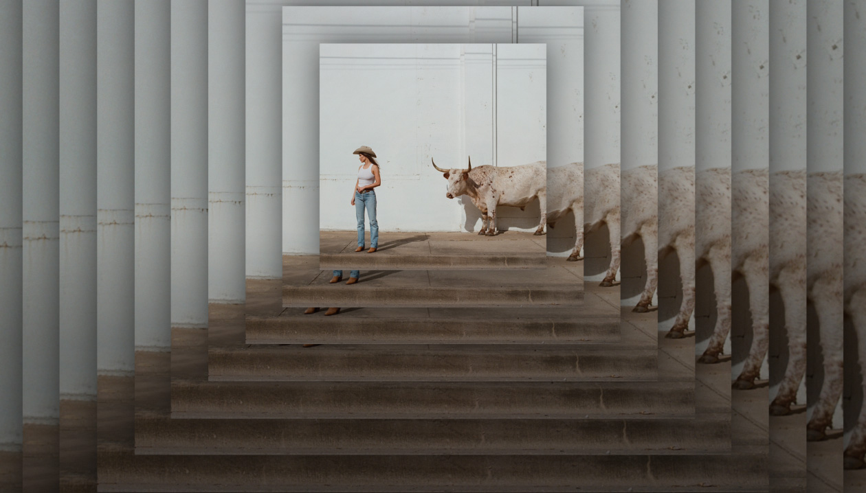 Kacey Musgraves album "Middle of Nowhere" cover art features Kacey Musgraves looking to her right in a cowboy hat, white shirt, and blue jeans while a white and brown bull stands behind her. The album cover is repeated and layered on top of each other.